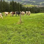 Hoerlbauer-leogang