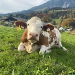 Hoerlbauer-leogang Διαμέρισμα Leogang