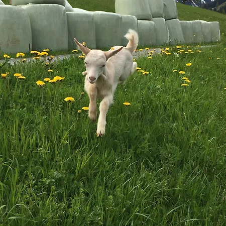 Hoerlbauer-leogang アパート *