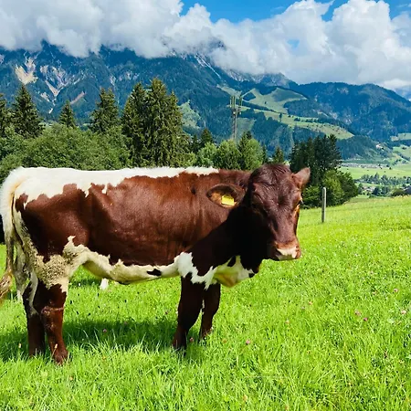 Hoerlbauer-leogang アパート レオガング