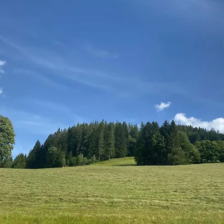 Apartamento Hoerlbauer-leogang *
