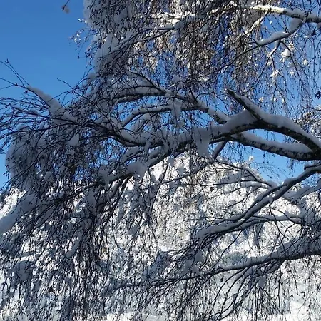 Hoerlbauer-leogang アパート レオガング