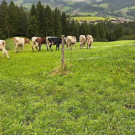 Hoerlbauer-leogang