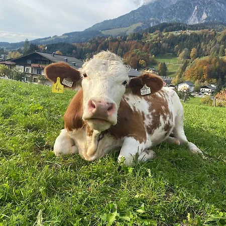 Hoerlbauer-leogang アパート レオガング