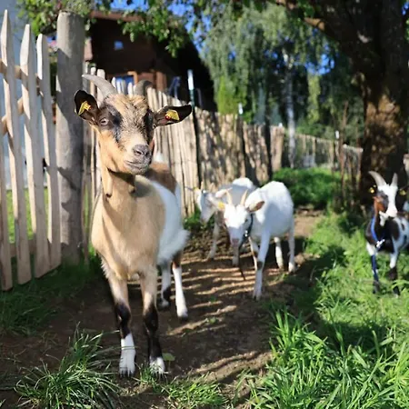 Hoerlbauer-leogang *
