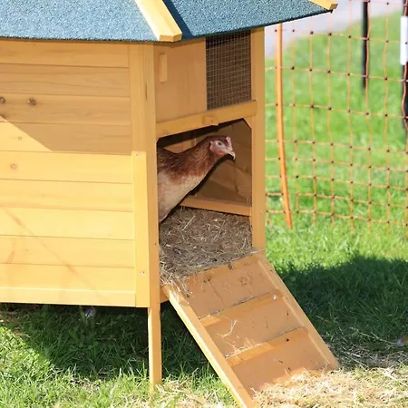 Hoerlbauer-leogang アパート *