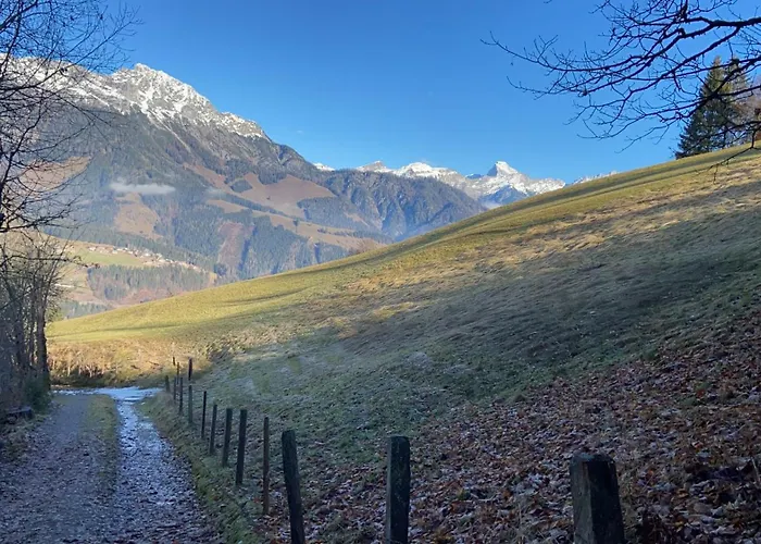 Apartamento Hoerlbauer-leogang