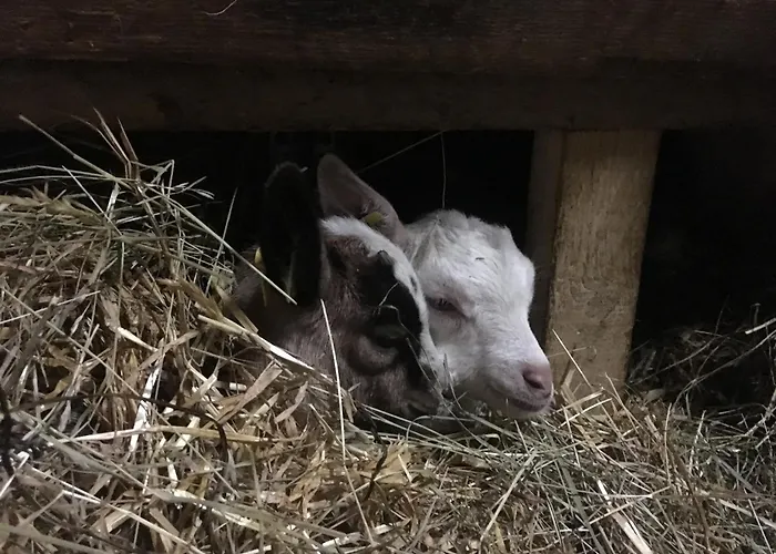 Апартаменты Hoerlbauer-leogang