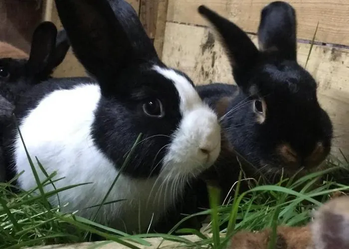 아파트 Hoerlbauer-leogang *