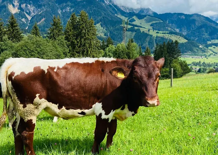 Hoerlbauer-leogang Апартаменты Леоганг