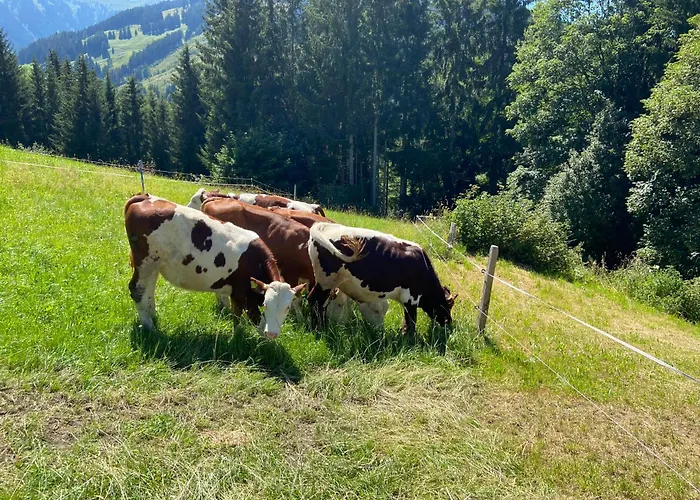 Hoerlbauer-leogang Апартаменты