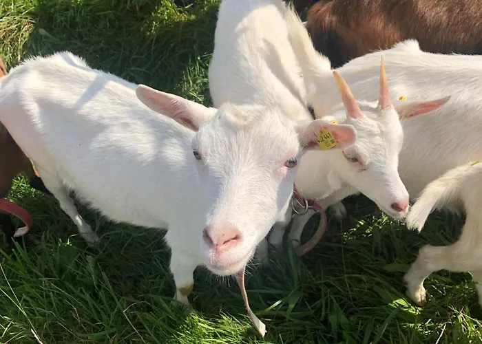Hoerlbauer-leogang 아파트