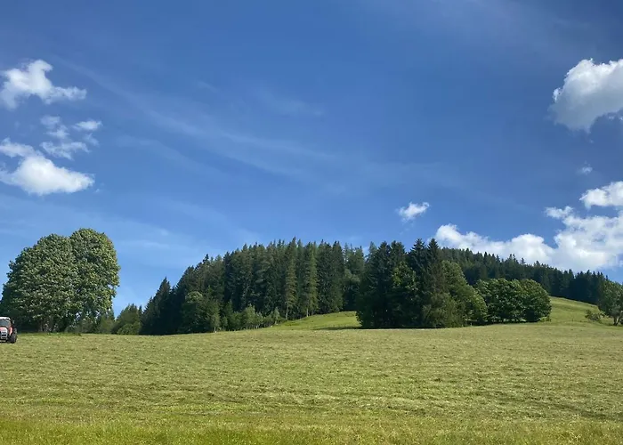 Apartamento Hoerlbauer-leogang *
