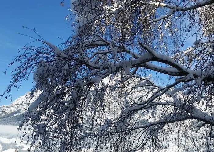 Hoerlbauer-leogang 아파트 레오강