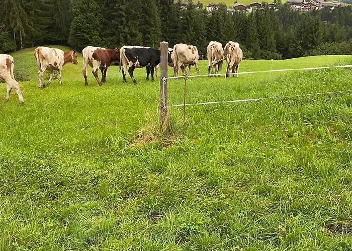 Hoerlbauer-leogang