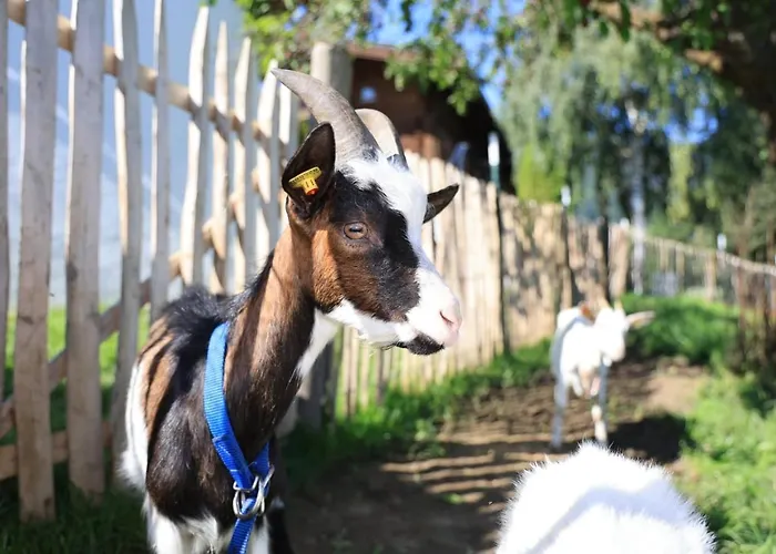 Hoerlbauer-leogang *
