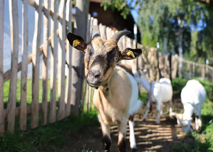 Hoerlbauer-leogang * Leogang