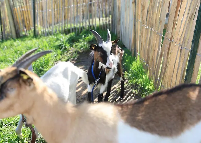 Апартаменты Hoerlbauer-leogang