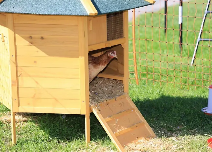 Hoerlbauer-leogang Апартаменты *